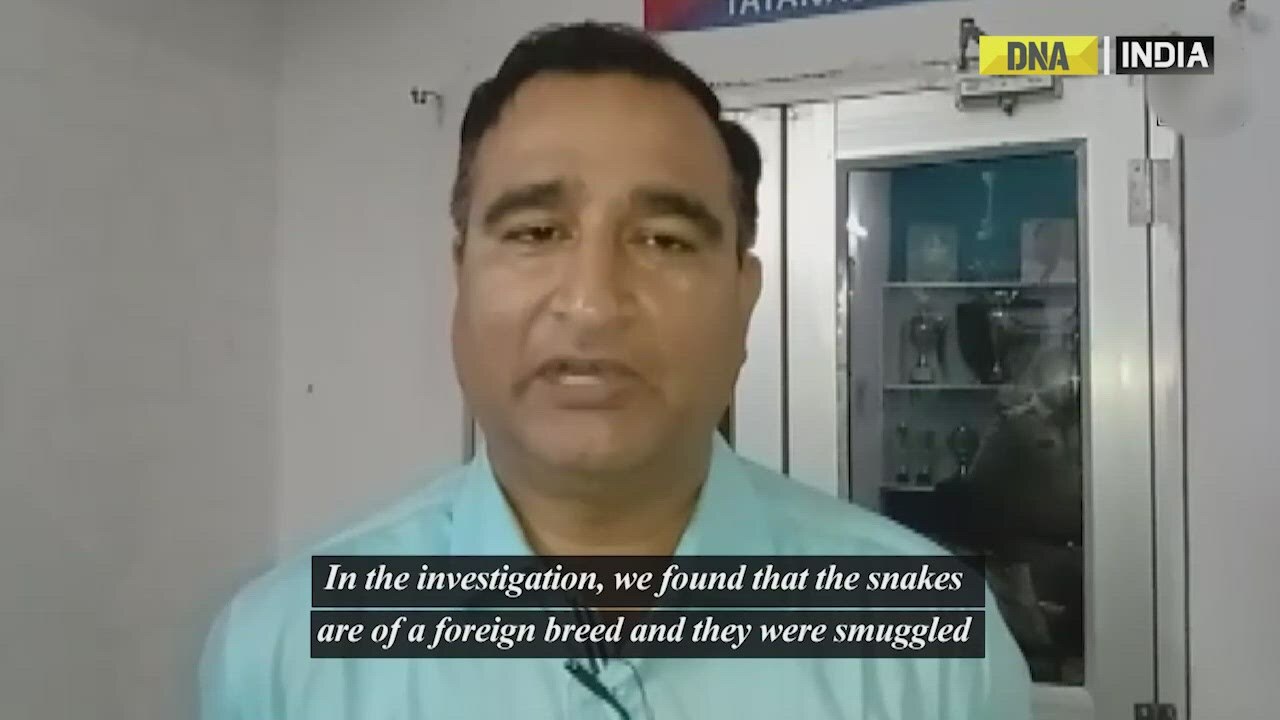 Jharkhand: Woman arrested with 28 exotic snakes at Tatanagar railway station
