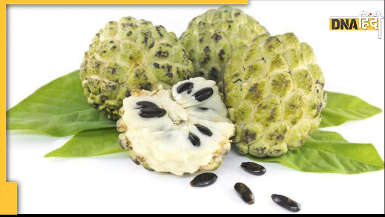 Custard Apple Benefits: सीताफल के मीठे से कंट्रोल होती है डायबिटीज, बीपी भी रहता है सही 