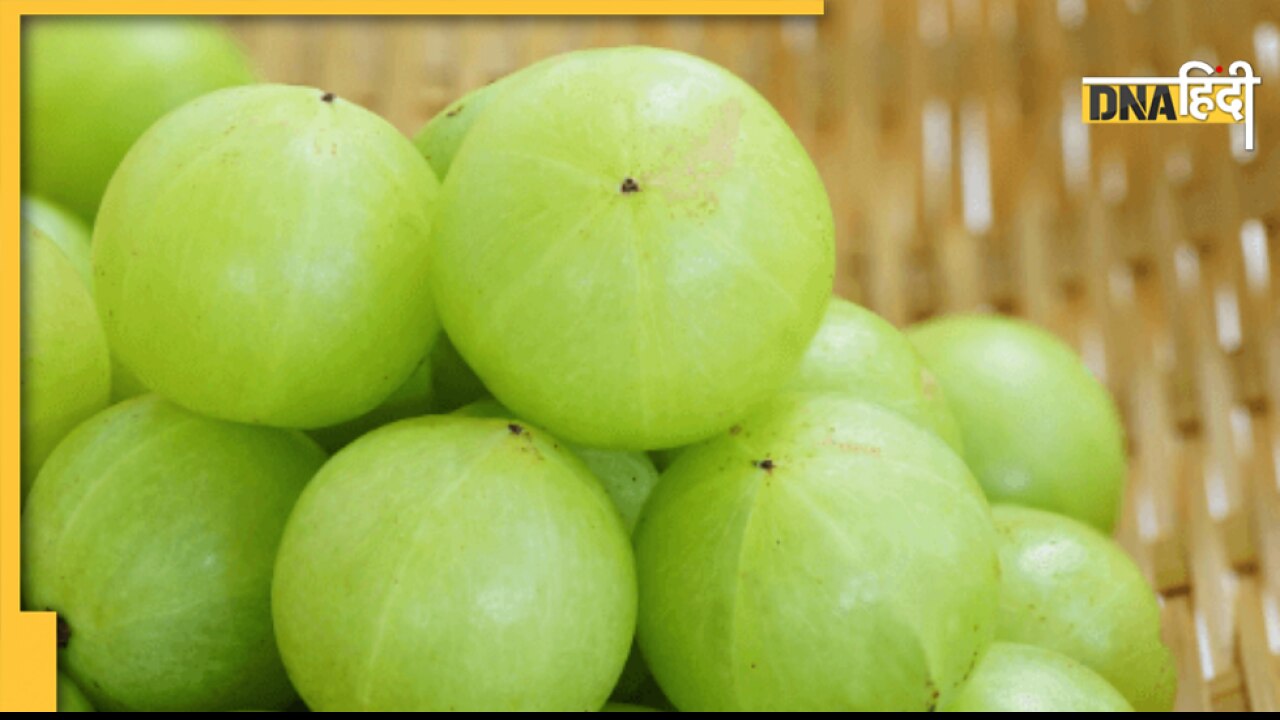 Amla Khane Ke Fayde: सर्दियों में खाएं आंवला का मुरब्बा, जूस, कैंडी, नहीं होगी पेट की कोई भी बीमारी 