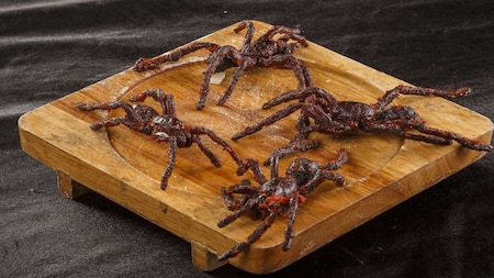 Fried Tarantula Spider