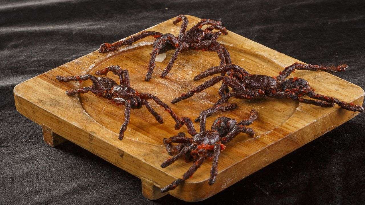 Fried Tarantula Spider, Nested soup: These are the world's most weird ...
