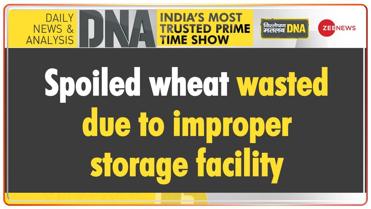 11,000 metric tonnes of wheat spoiled, wasted due to improper storage facility
