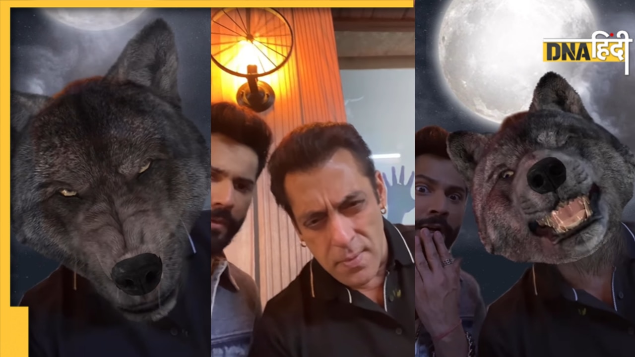 Salman Khan बने 'भेड़िया', देख Varun Dhawan भी रह गए दंग, मजेदार है दोनों का ये Video 