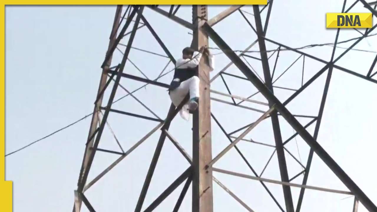 Delhi MCD polls: Former AAP councillor climbs tower after party denies ticket
