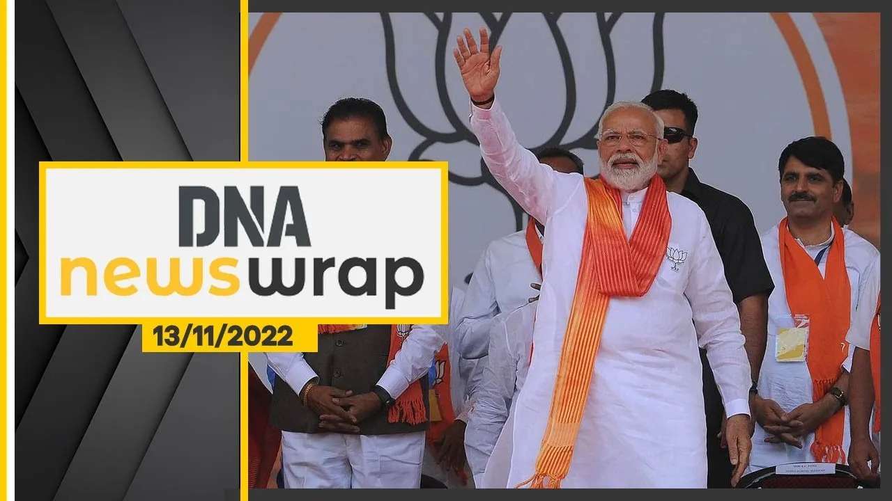 News Wrap, November 13
