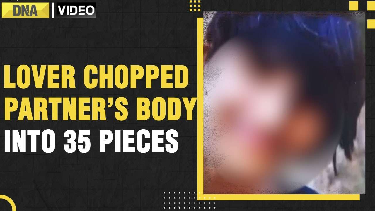 Delhi horror: Lover killed live-in partner; Chopped her body into 35 pieces