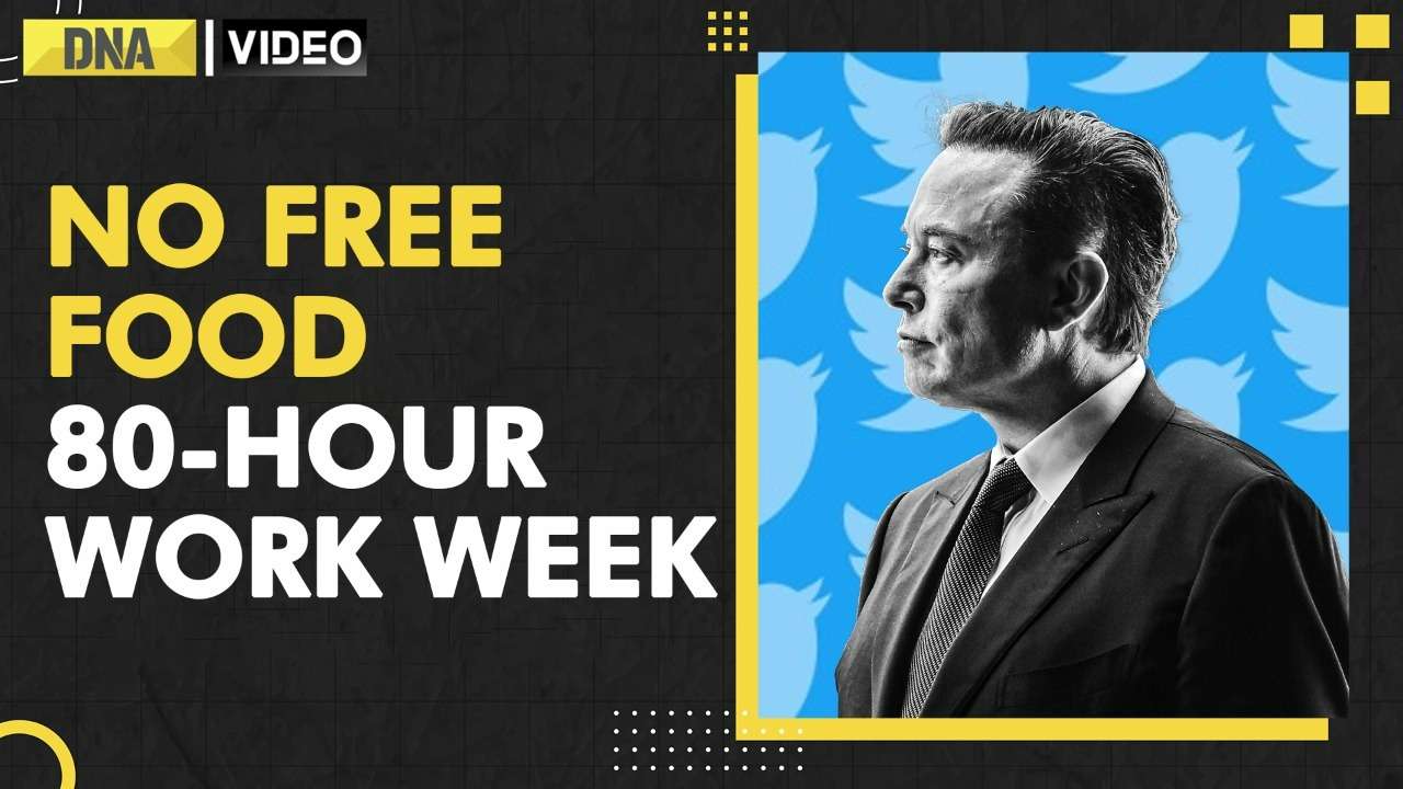 DNA Sparks: What all has happened in Elon Musk's two weeks of chaotic Twitter?
