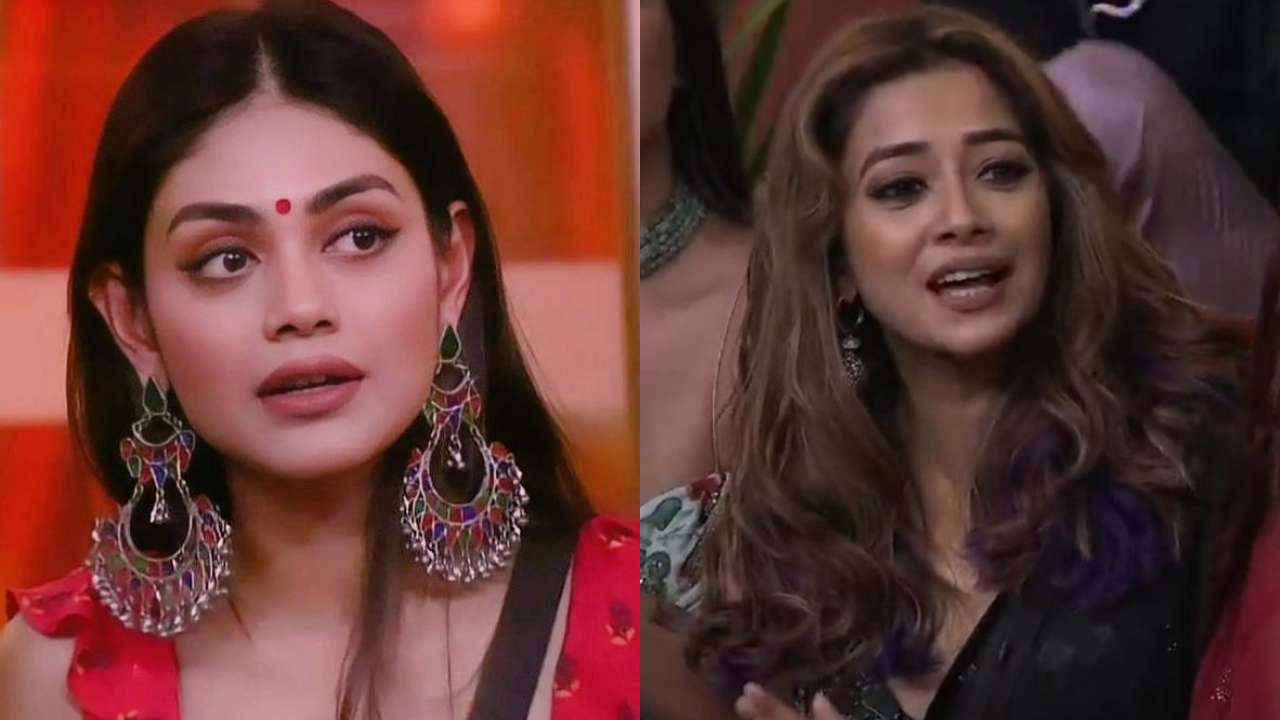 Sreejita De-Tina Datta in Bigg Boss 16