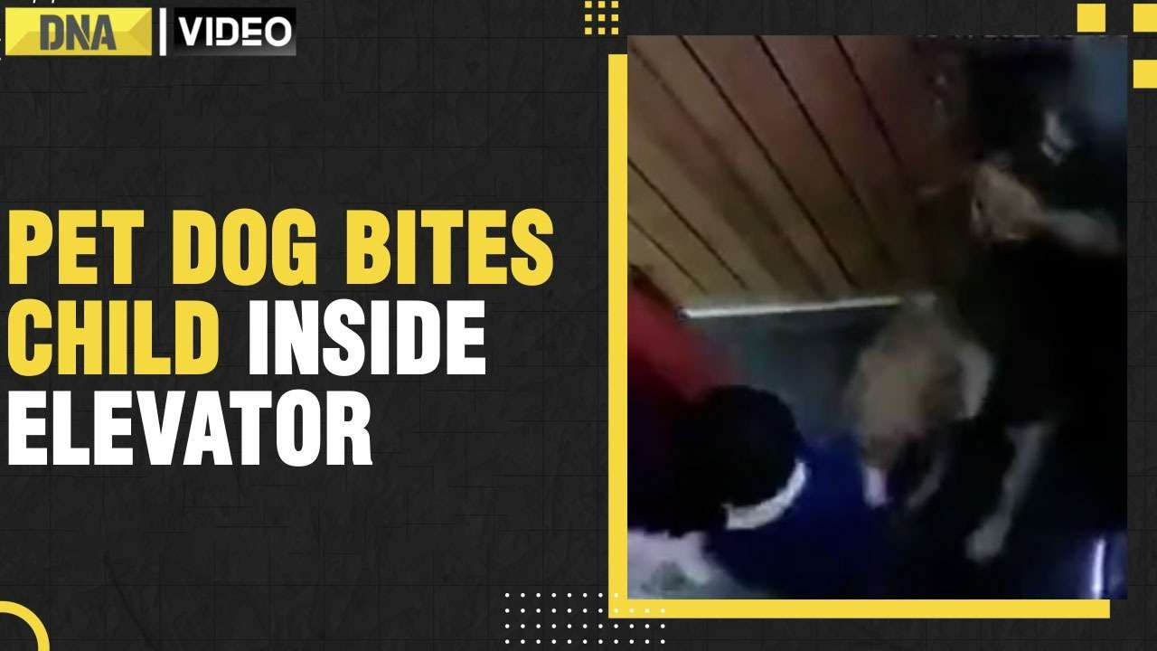 CCTV Footage: Pet dog bites child inside elevator in UP's Greater Noida