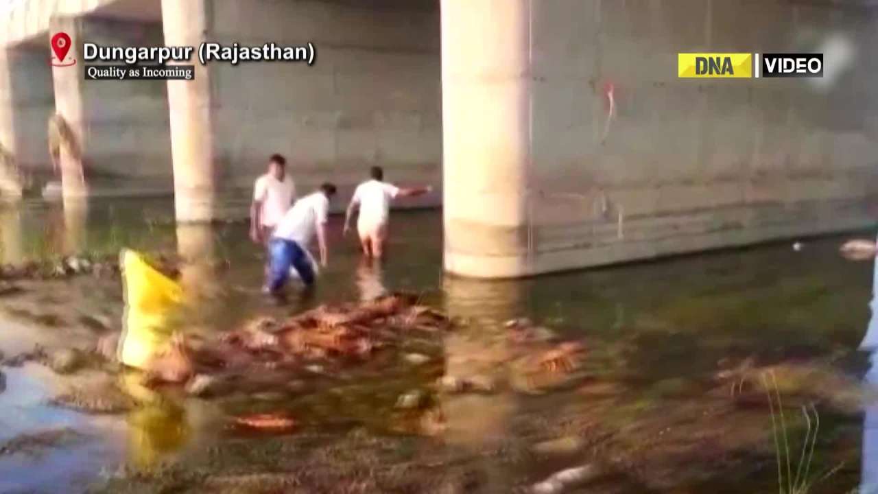Rajasthan: Gelatin explosives found abandoned under bridge in Dungarpur