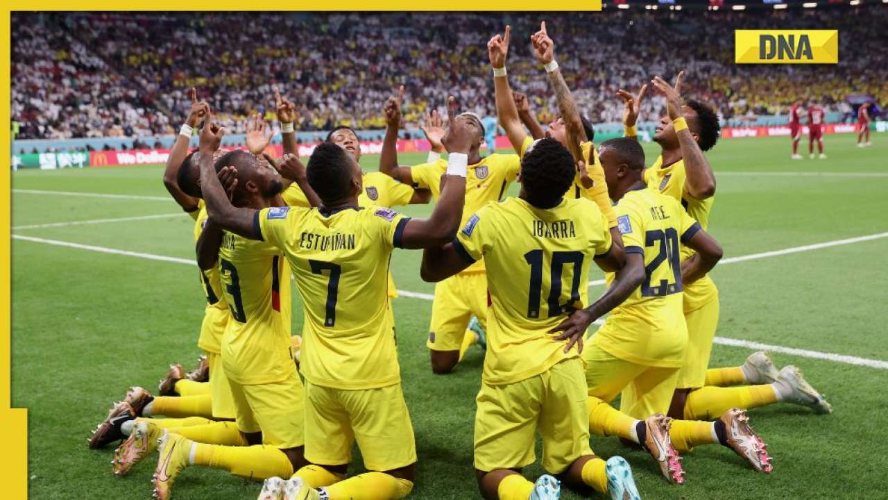 FIFA World Cup 2022 Qatar vs Ecuador Live Streaming details and match score updates BIG WIN