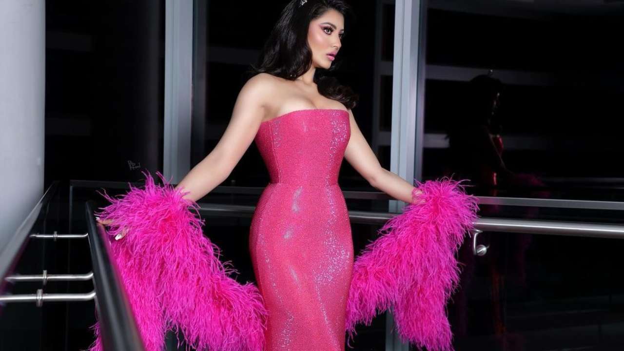 Urvashi Rautela Nude - Urvashi Rautela sets internet on fire in stunning pink dress, fans compare  her to Kylie Jenner