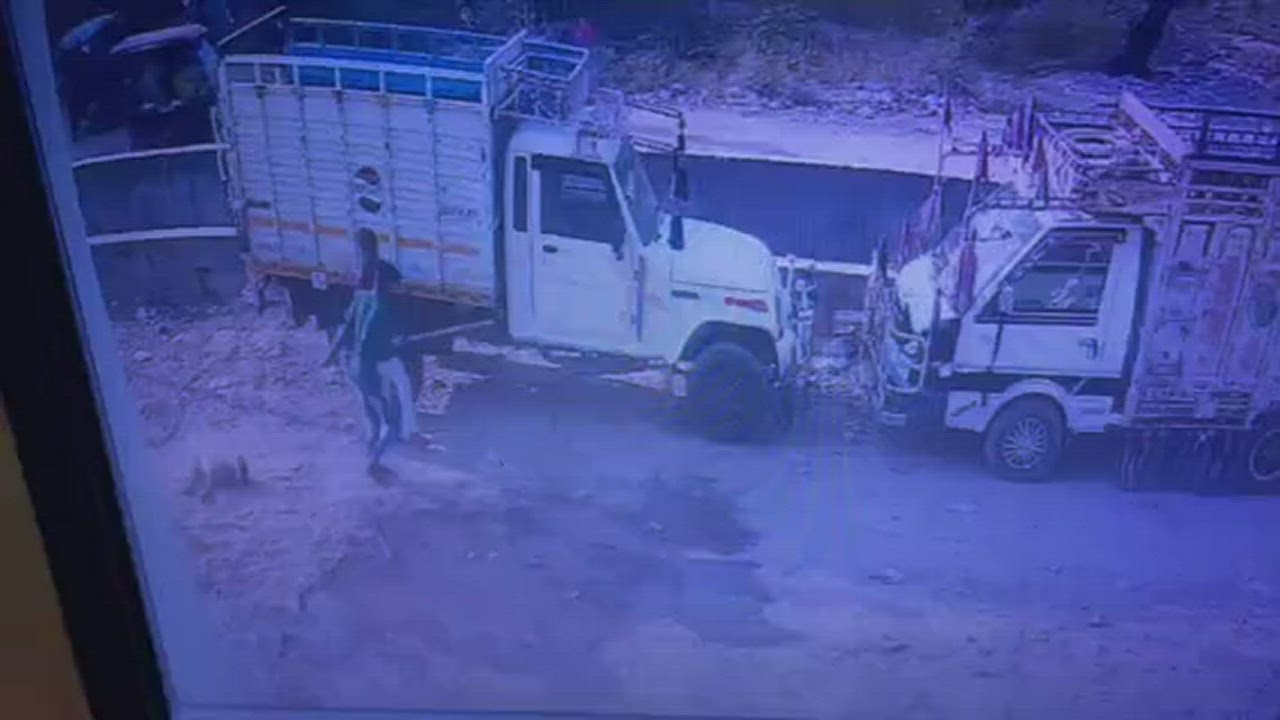 Gwalior: Three men beat dog to death