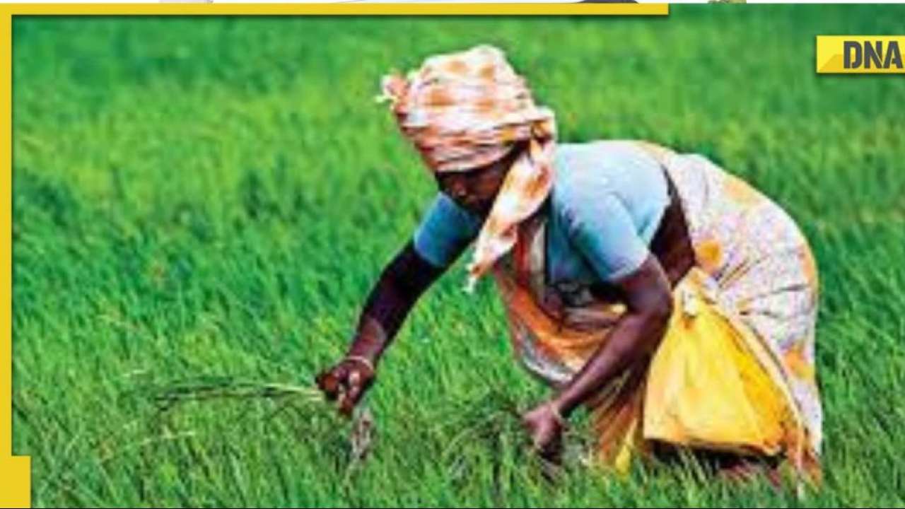 Kisan Credit Card: RBI approves interest subsidies under KCC loans until March 2024