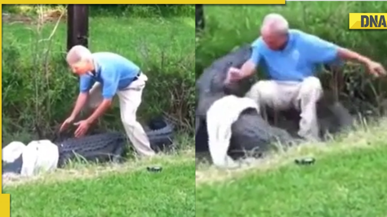 Alligator almost bites off man's hand in horrifying viral video