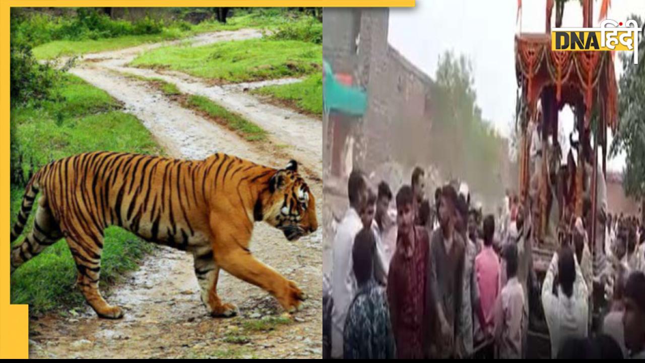 Madanpur Devi Temple: देवी के इस मंदिर में हर रात दर्शन के लिए आता है बाघ, पिंडी रूप में विराजमान हैं मां भगवती 