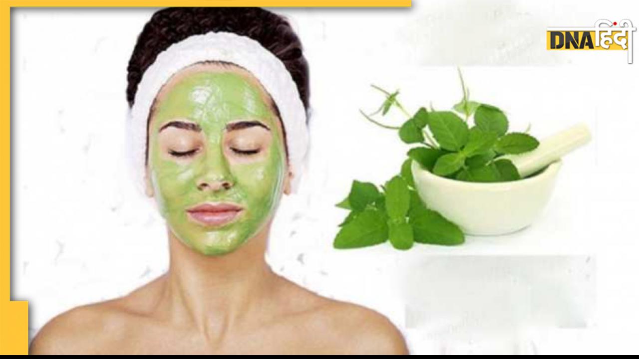 Skin Care Tips: चेहरे से दाग-धब्बे हो जाएंगे गायब, लगाएं तुलसी से बना फेस पैक- विधि 