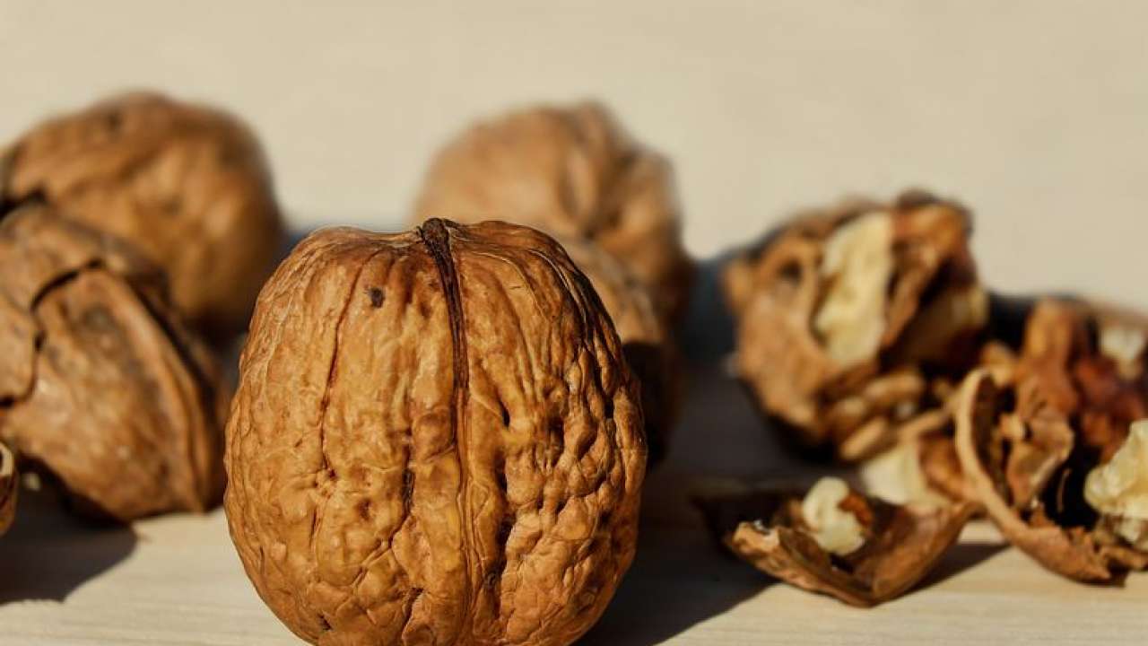 Walnut health benefits Know 5 reasons to include these healthy nuts in