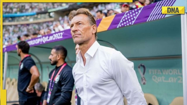 Hervé Renard: Journeyman who shocked Messi's Argentina at the global stage  - The City Review South Sudan