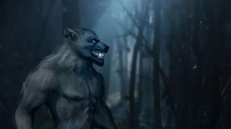 First sighting of werewolves