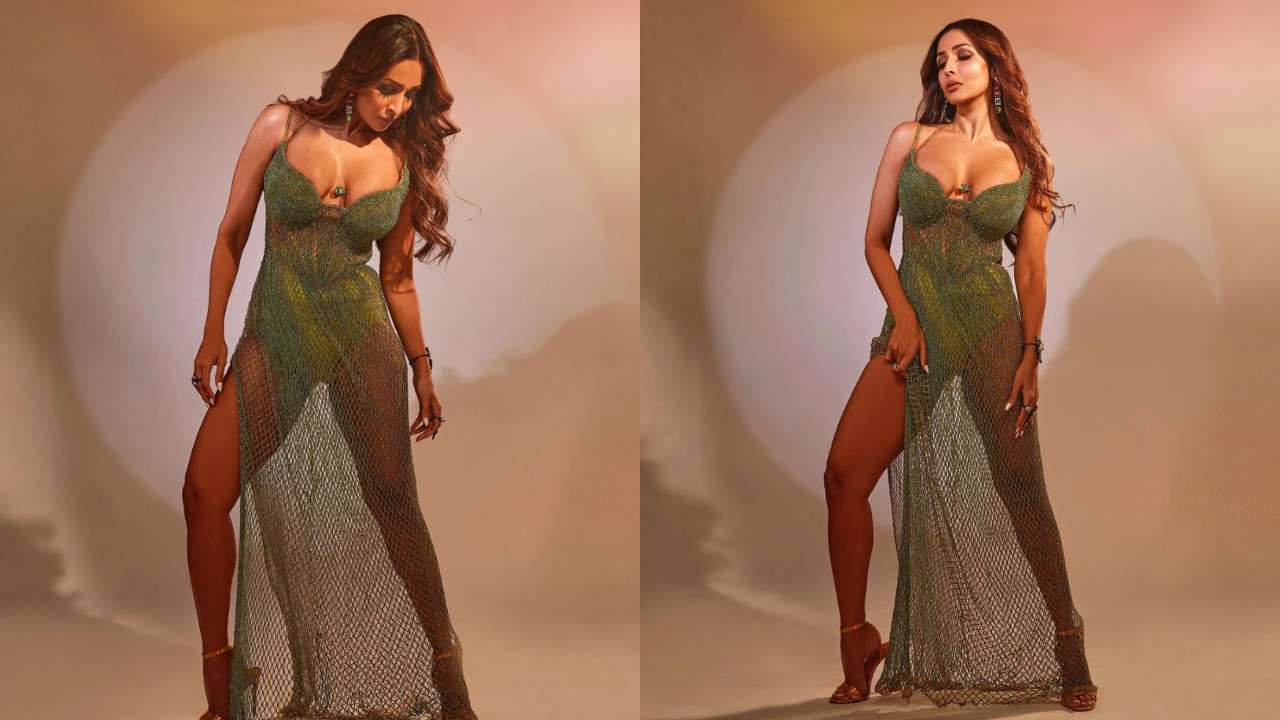 Malaika Arora Xxx - In Pics: Malaika Arora makes internet sweat with her sizzling photos in  deep-neck dress