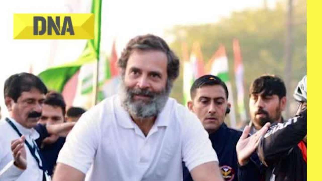 Special guest Marvel joins Rahul Gandhi's Bharat Jodo Yatra in Madhya Pradesh 