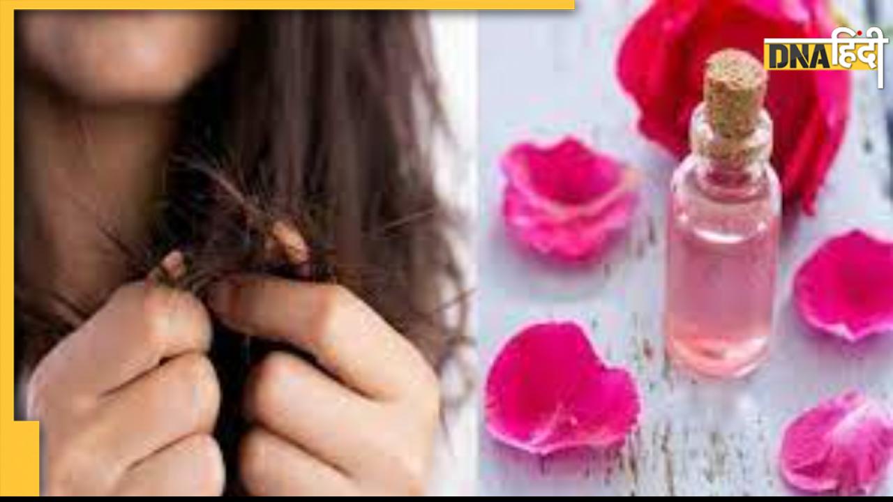 Flowers For Hair Care: सर्दियों में ये 5 फूल बालों को रखेंगे हेल्दी और शाइनी, ऐसे करें इस्तेमाल