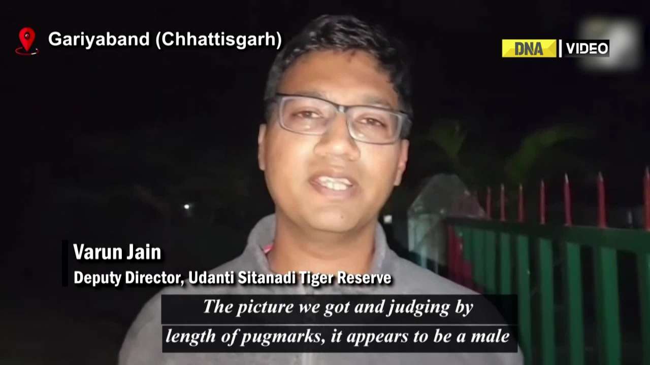 Chhattisgarh: Images of a new tiger captured at Udanti Sitanadi Tiger Reserve