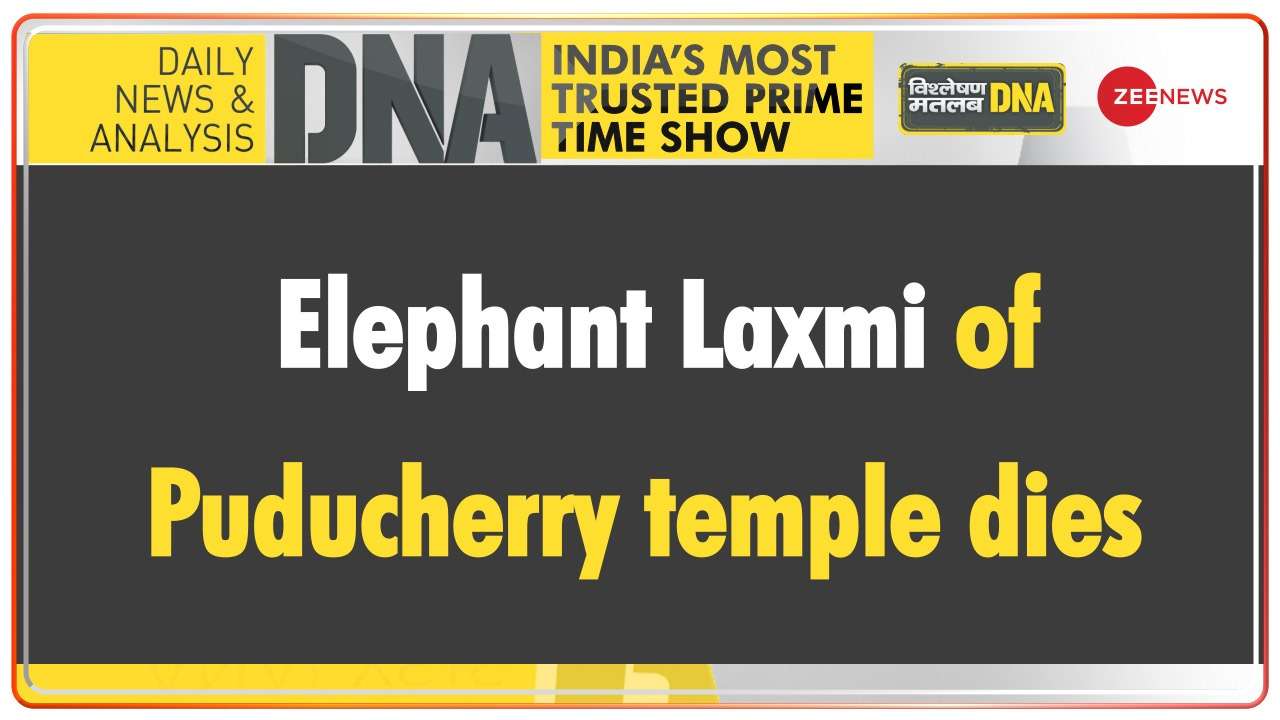 DNA - Elephant Laxmi of Puducherry temple dies