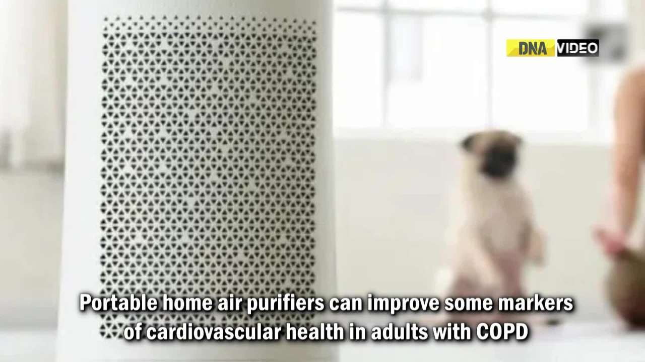 Household air purifiers improve heart health in COPD patients: Research
