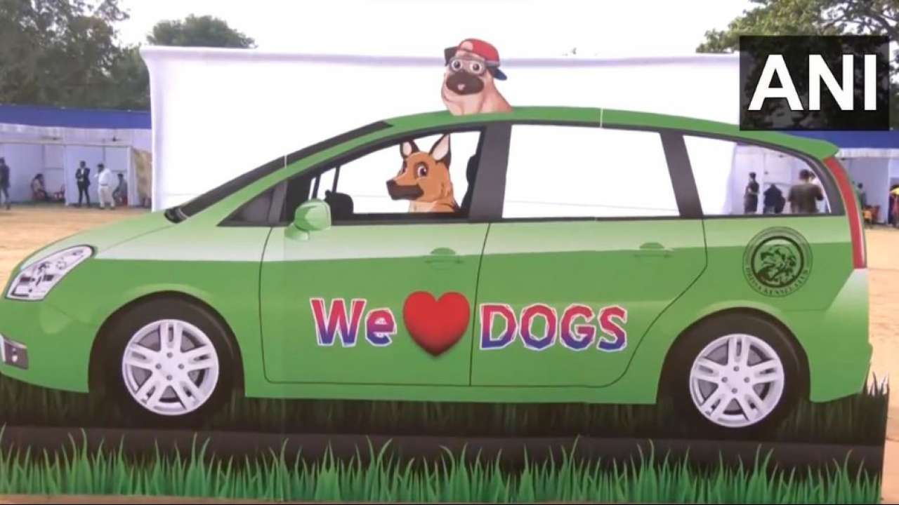 Orissa National level dog show held in Bhubaneswar for pet lovers