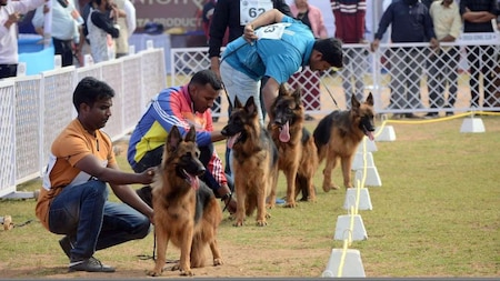 National level dog show held in Bhubaneswar