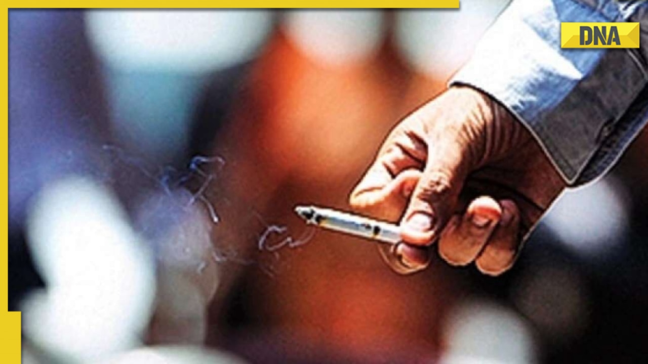 gs1 gpc number of bricks for food beverage tobacco Development & Implementation Guide