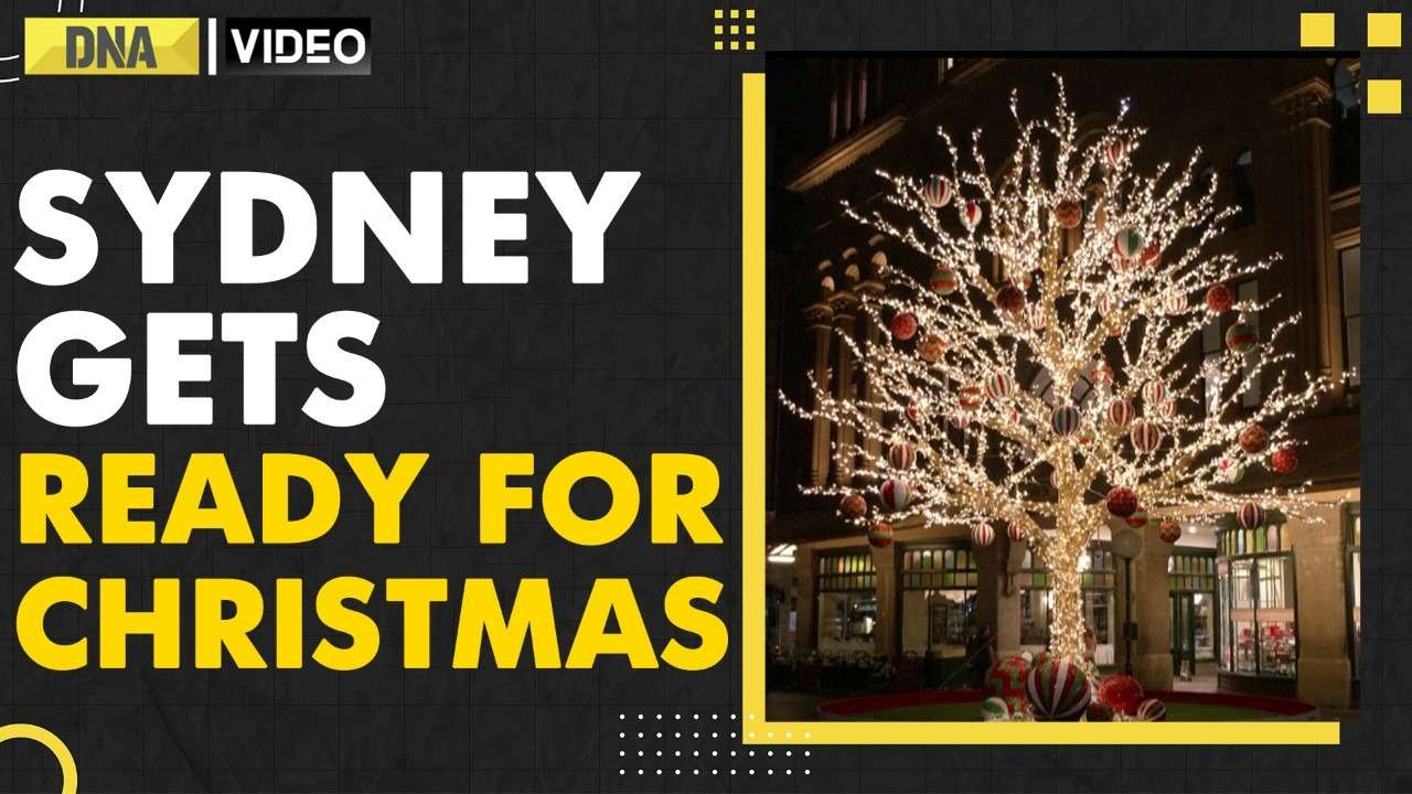 Christmas 2022: Sydney sparkles and illuminates for Christmas festivities | Tallest Christmas Tree