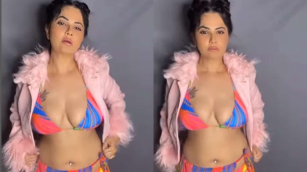 Abha Pol Sex Porn - XXX, Gandii Baat star Aabha Paul's bold reels will make you sweat