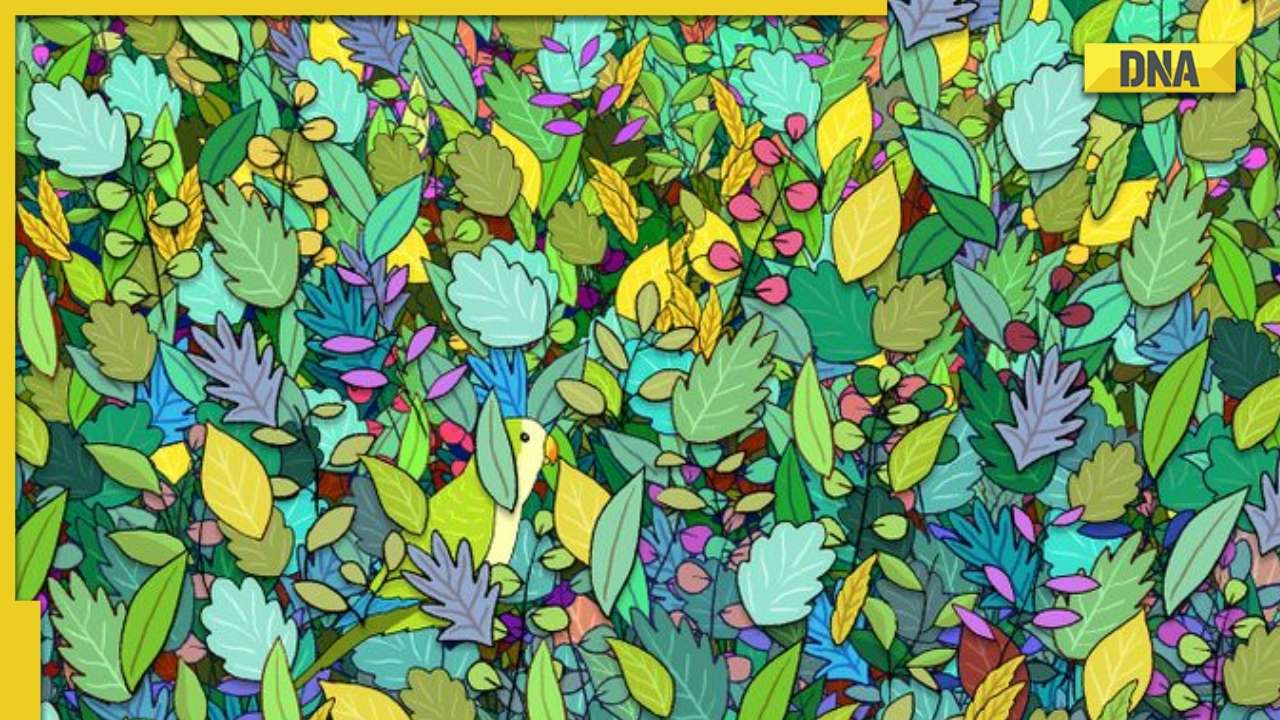 Optical illusion: Only person with sharp eyes can spot parrot ...