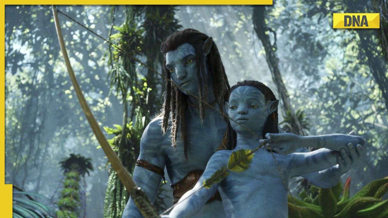 Avatar 2 vs Avengers Endgame India Box Office Collection: James