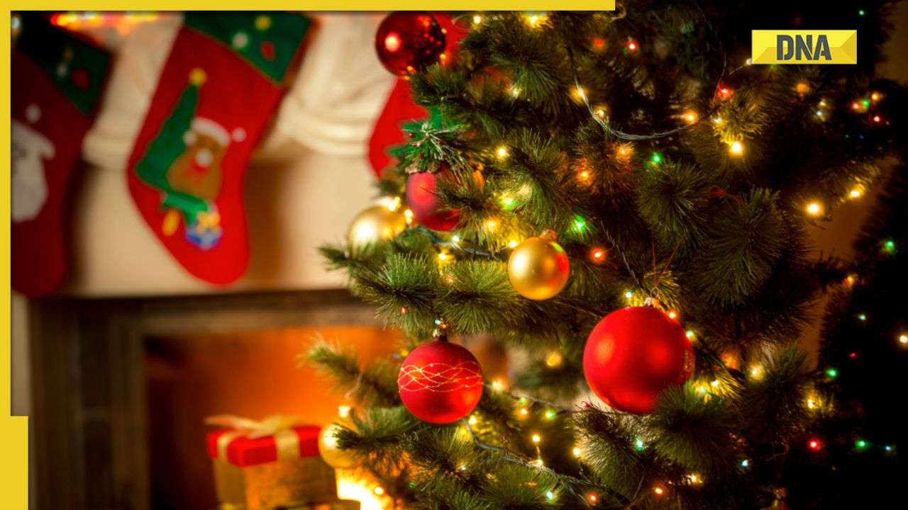wish-to-spend-christmas-eve-at-home-follow-these-simple-steps