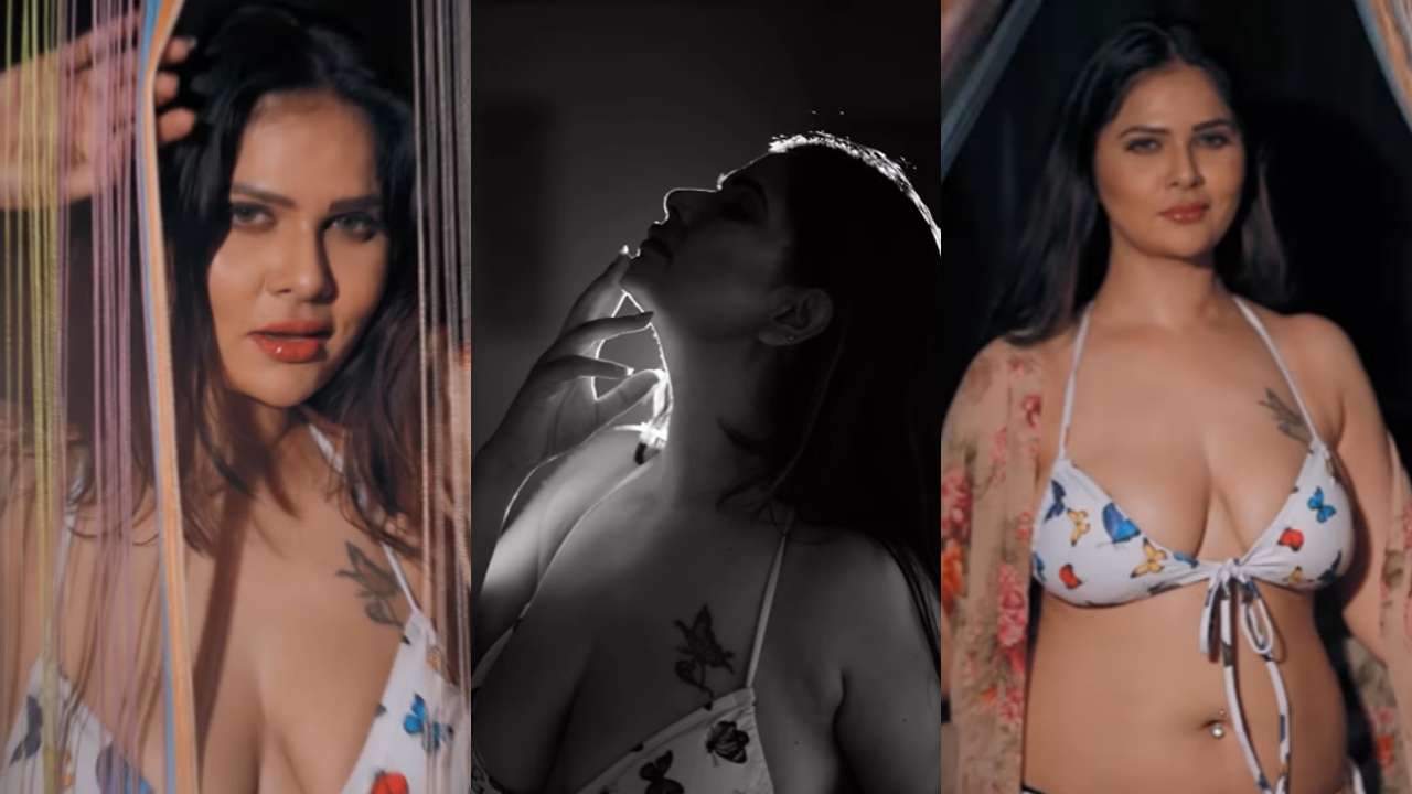 Raj Web Xxx Sex Video - Sexy and hot reels of XXX, Gandii Baat star Aabha Paul go viral