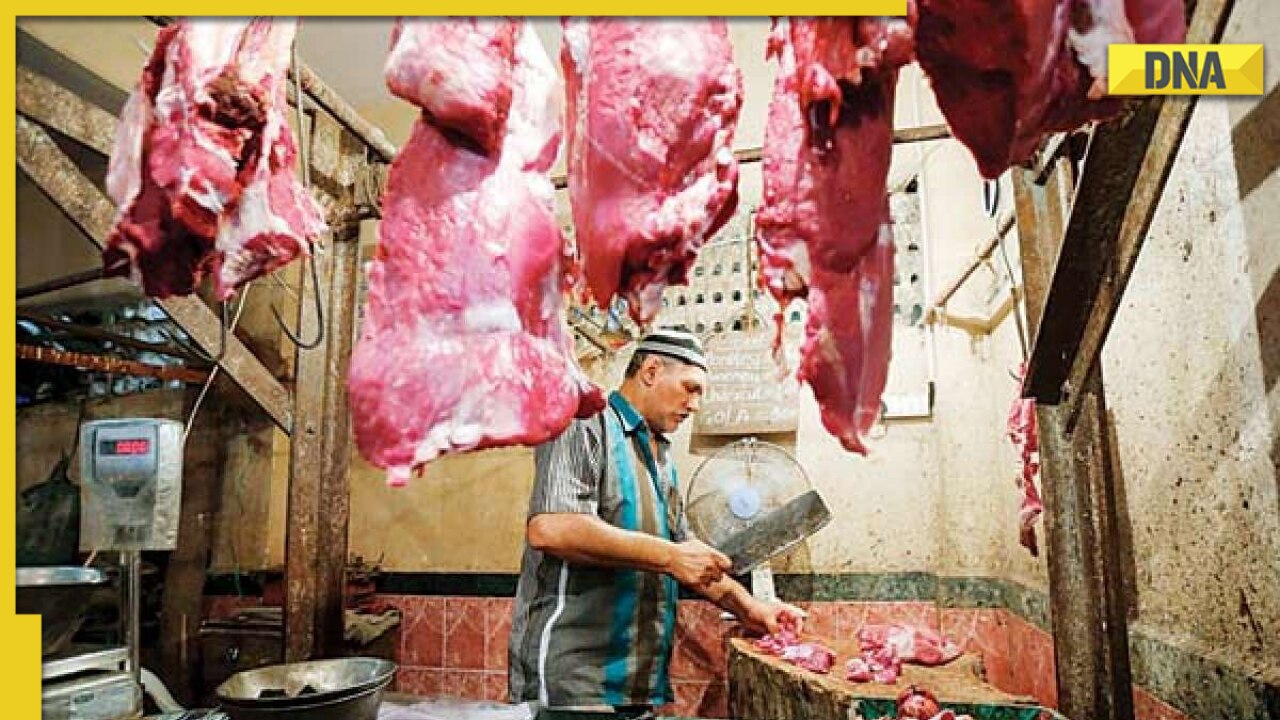 Will Karnataka see 'Anti-Halal' bill soon? Key points about controversial bill on halal meat