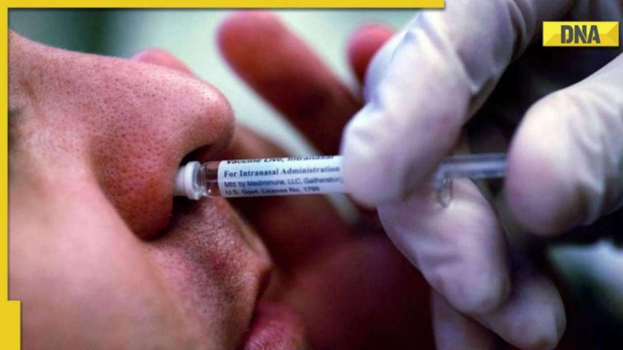 COVID-19 fourth wave scare: Government approves nasal vaccine, check eligibility, doses, registration and more