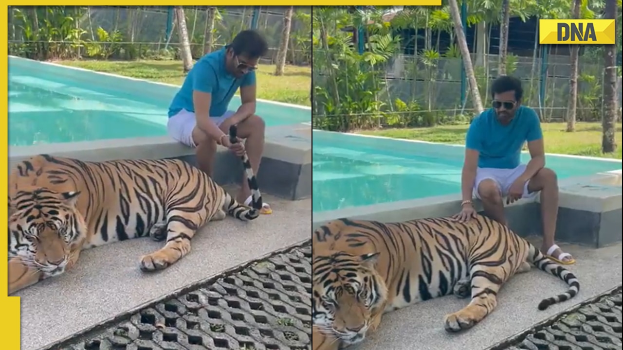 Santhanam shares video of himself with tiger at petting zoo, gets called out on Twitter for 'encouraging animal abuse'