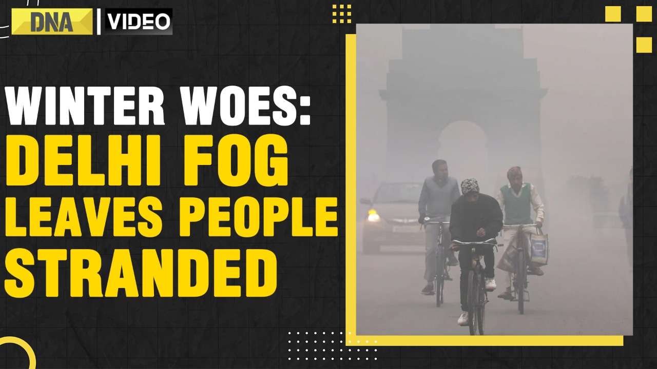 Winter Woes: New Delhi fog disrupts air and rail travel | Pollution | Climate Change | Travel