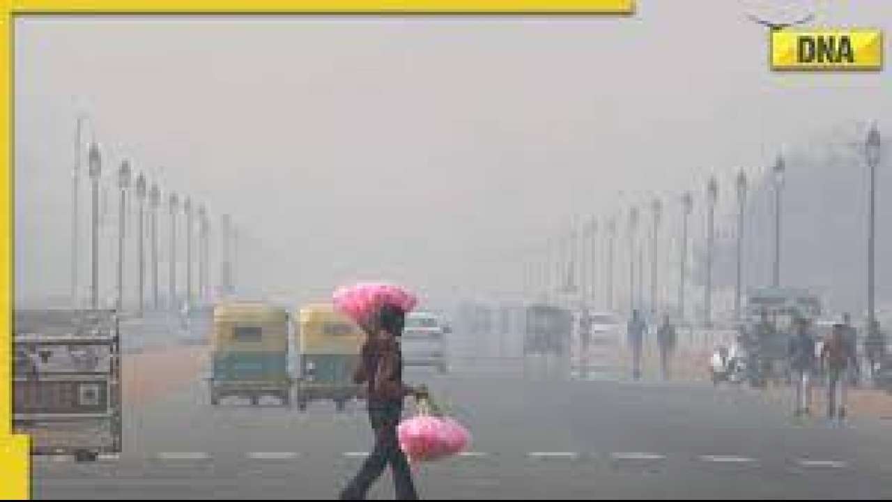 Imd Weather Update Cold Wave Continues To Grip Delhi Dense Fog In Haryana Up Rajasthan Till 9698