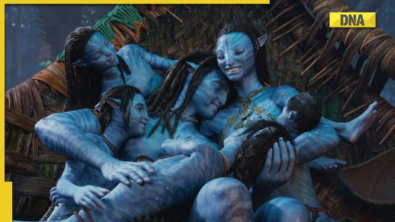 1280px x 720px - Avatar The Way of Water box office: James Cameron film crosses $1 billion  mark in just 12 days