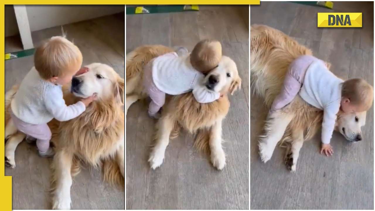 This clip of a toddler hugging dog is totally aww-dorable, viral video