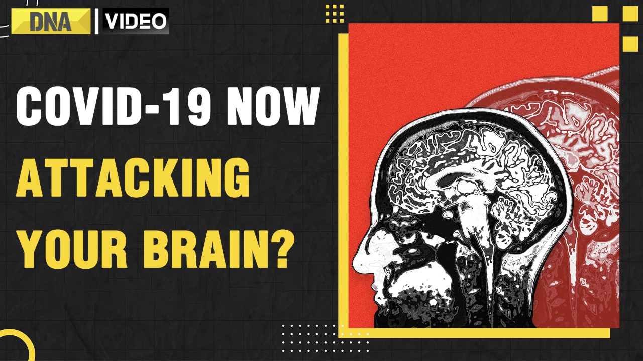 Alert!  New variant of Coronavirus now evolving to attack human brain?