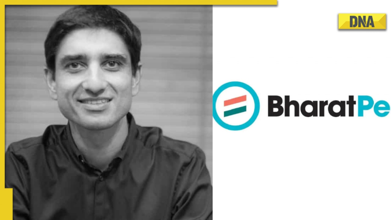Who is Suhail Sameer, BharatPe CEO resigning after five months of taking over