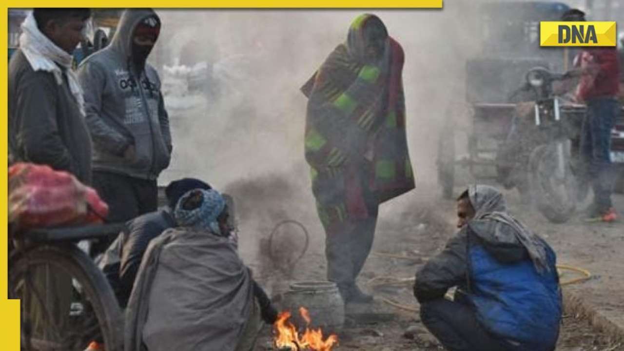 Delhi, Noida, Gurgaon, Ghaziabad temperatures plummet amid cold wave; read IMD's latest weather update