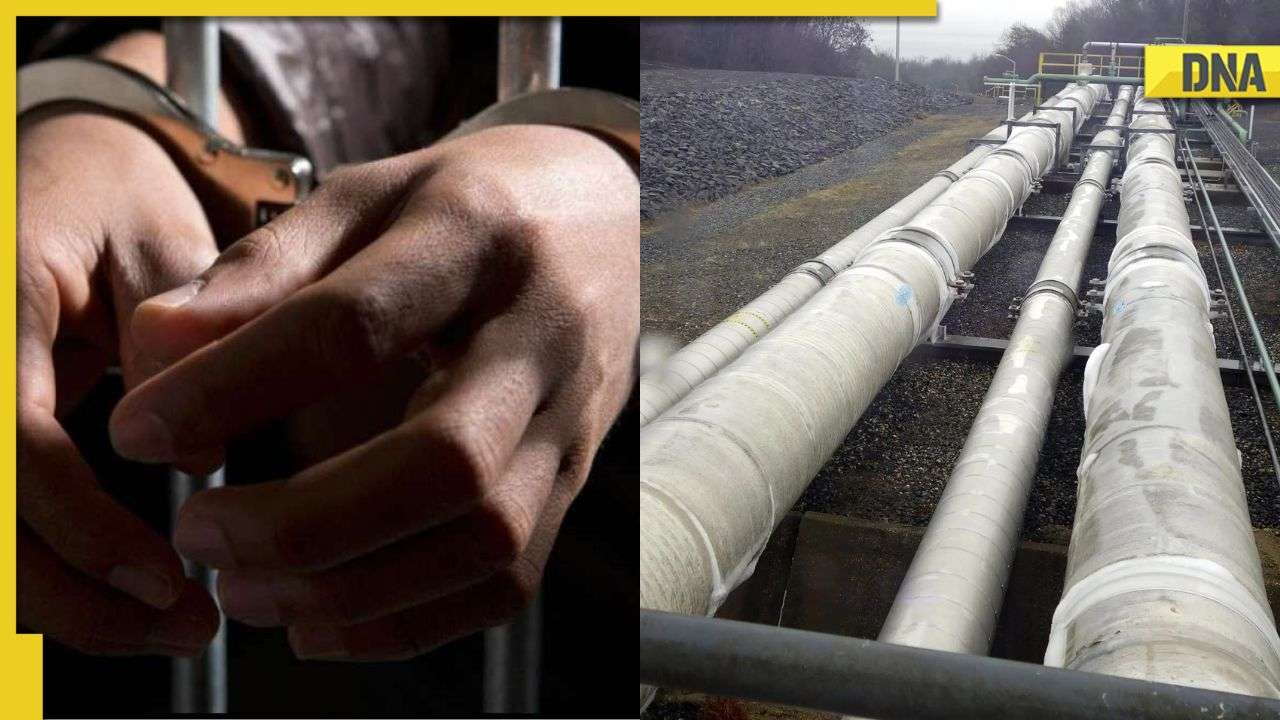 Surat police arrests oil mafia accused of stealing oil worth hundreds